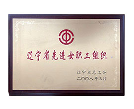 辽宁省先进女职工组织
