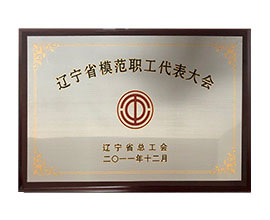辽宁省模范职工代表大会