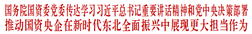 国资委：支持指导中央企业以更大力度投资东北、布局东北、建设东北、发展东北